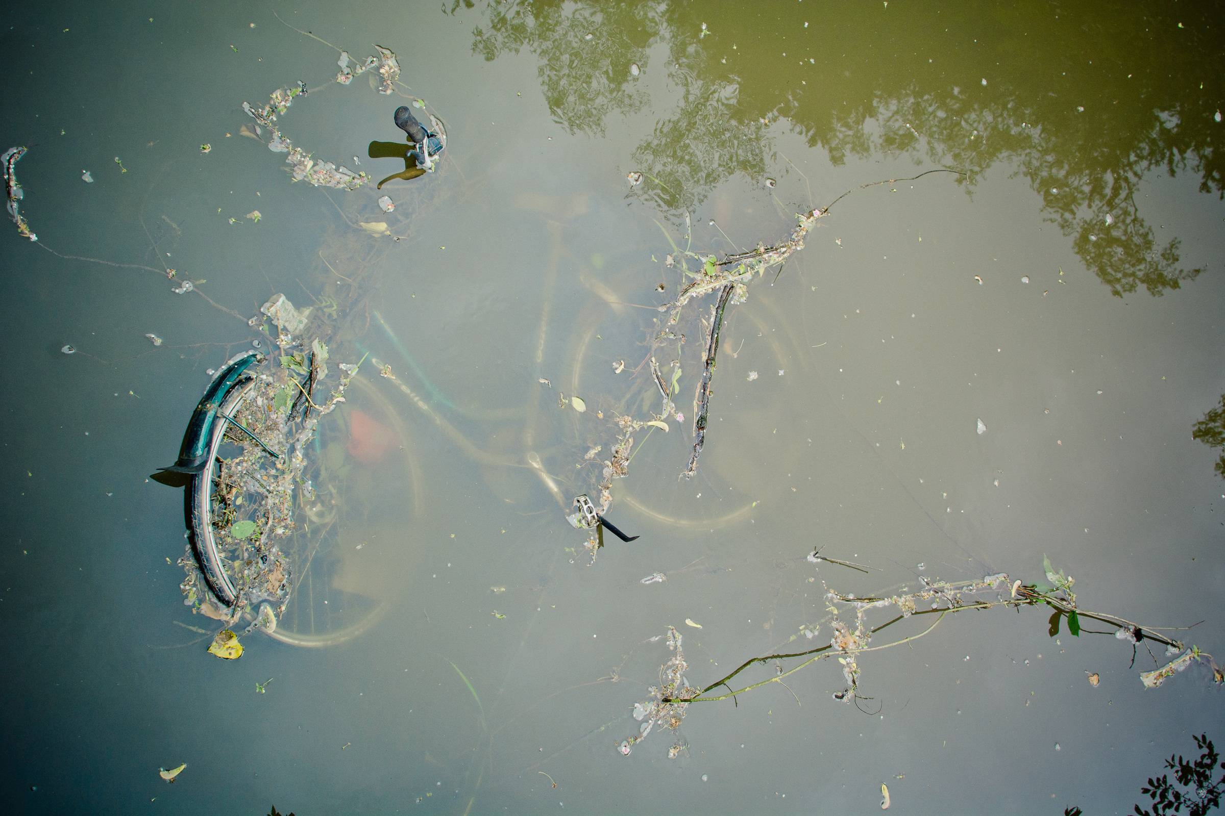 Nature Bridge Wheel Sunlight Leaf Old Image Free Photo