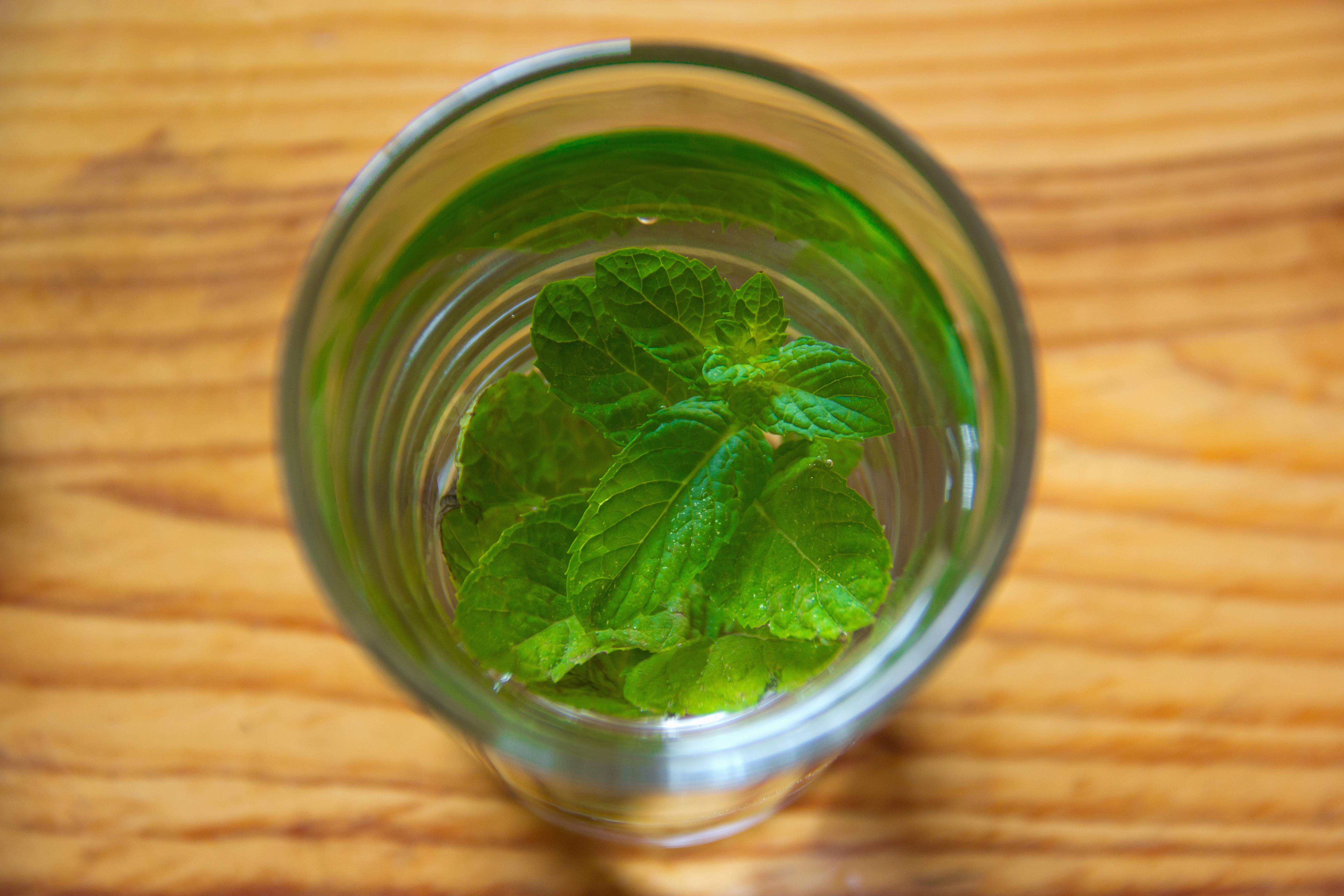 Table Water Nature Liquid Plant Sweet Image Free Photo