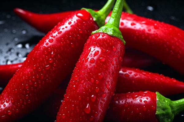 Close-up of vibrant red chili peppers with droplets of water