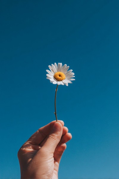 hand holding daisy flower against blue sky
