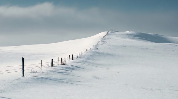 Winter Landscape Fence