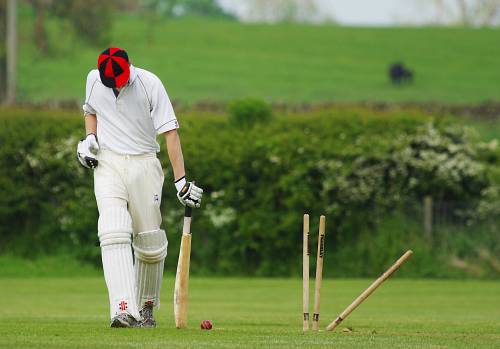   man  grass  play  player  pitch  cricket 
