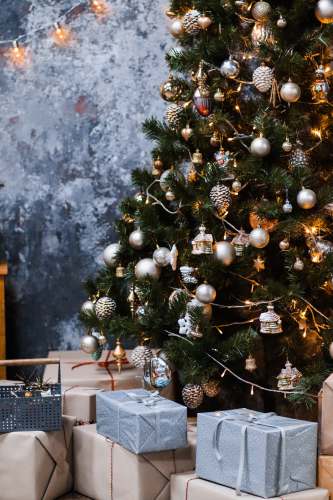 tree gift boxes under Christmas tree plant