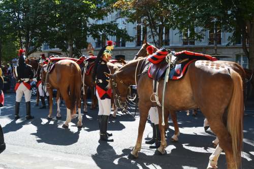 sunny people riding horses on road during daytime weapon