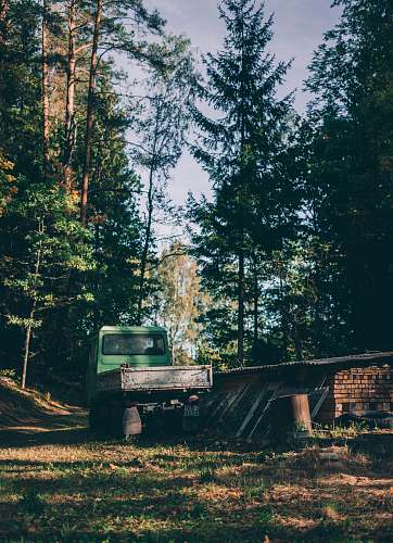 bulldozer green drop-side truck parked near green trees transportation