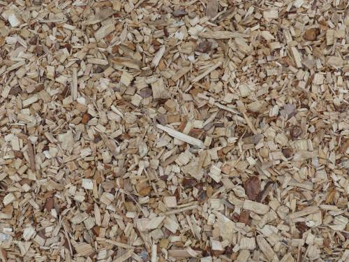   nature  plant  wood  texture  meal  food 