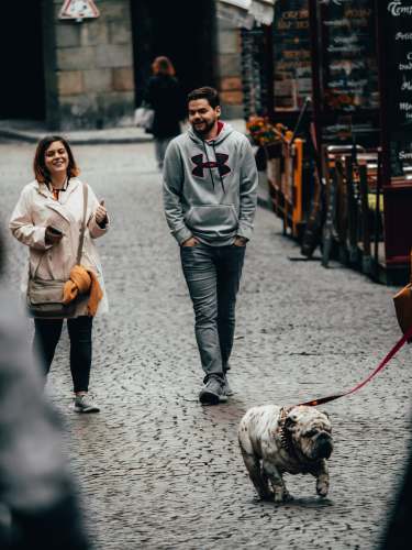dog man and woman walking on street near table and chairs brittany