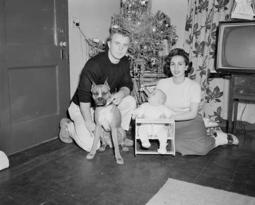 grey grayscale photo of boy sitting beside dog on floor photography