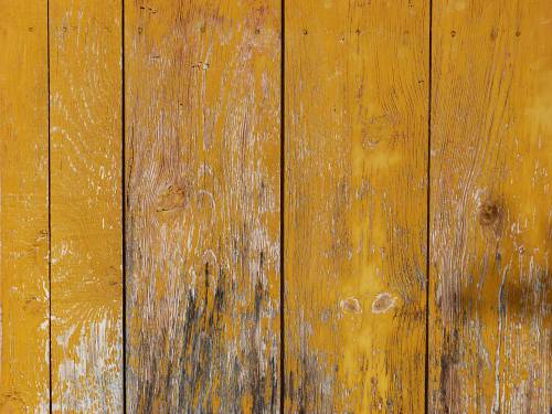   texture  plank  leaf  floor  wall  yellow 