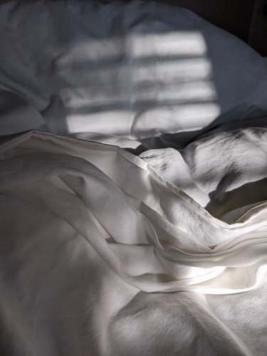 bed  blanket