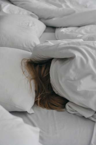pillow  cushion