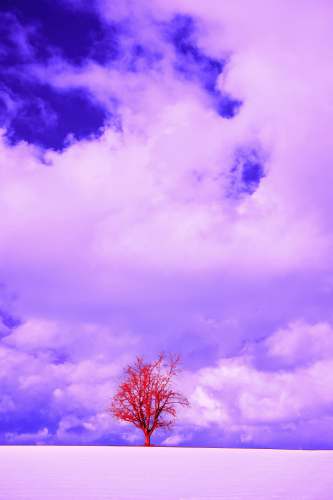 nature blue and white cloudy sky outdoors