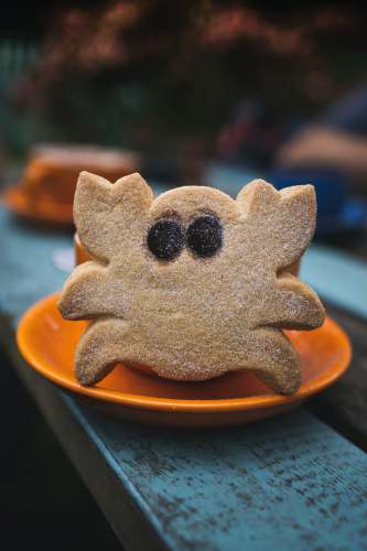 biscuit brown cookie on orange plate shortbread