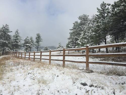   nature  fence  frost  weather  america 