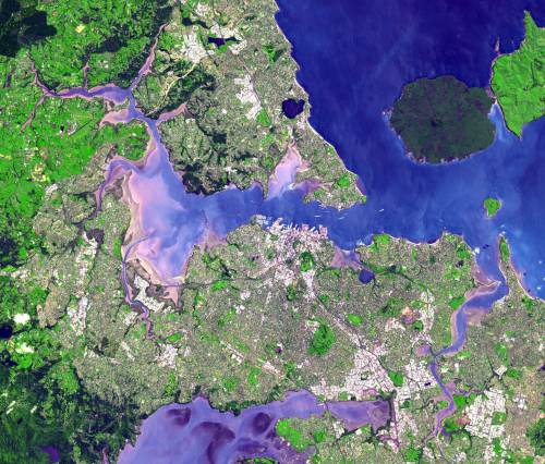 Satellite view of the Auckland isthmus and Waitemata 