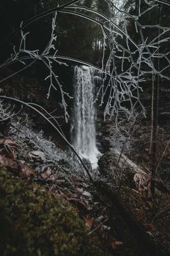 woodland plunge waterfalls greeter falls