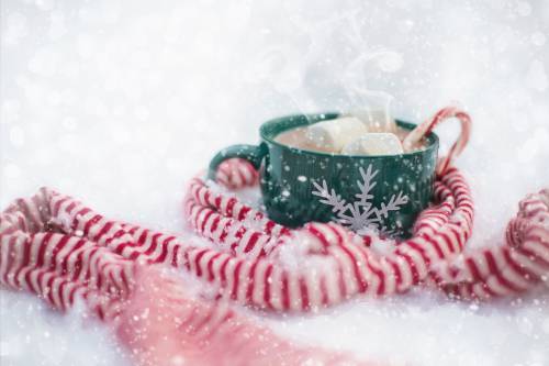   snow  winter  flower  cup  hot chocolate 