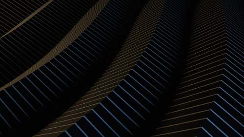 black  shape