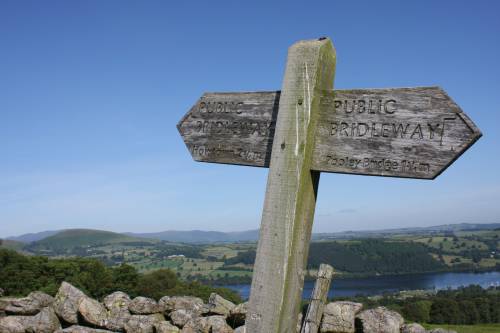   rock  mountain  wood  countryside  monument 