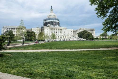 Landscape of the congress building in Washington DC image 