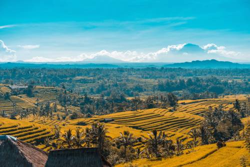 Scenic landscape with valley and mountains image - Free 