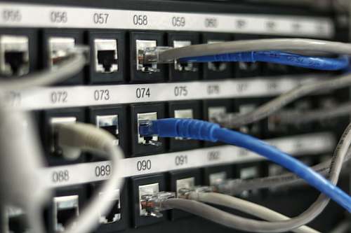 networking blue UTP cord network