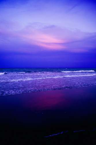 water sea during golden hour nature