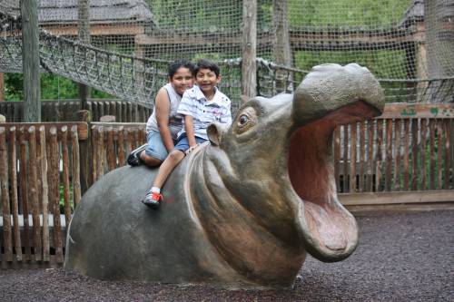   animal  zoo  stallion  sculpture  kids 