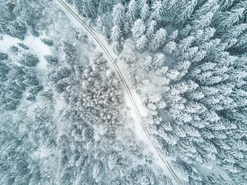 grey bird's eye view of snow forest austria