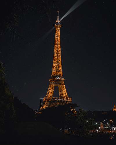  lighted Eiffel Tower at night 