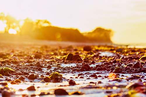 light brown surface with stones during daytime baltic sea