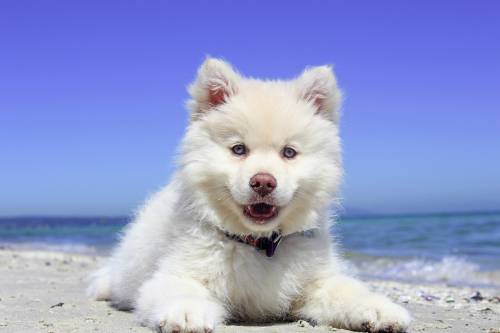   beach  sea  water  nature  sand  ocean  sun 