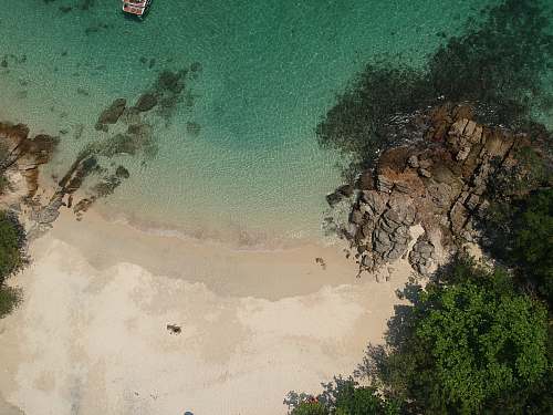 outdoors aerial view of green trees beside body of water during daytime nature