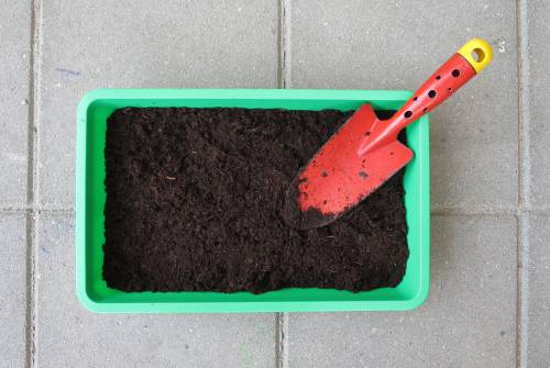   sand  bloom  green  red  color  soil 