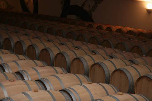   vine  wine  auditorium  france  red  alcohol 