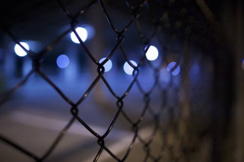   branch  light  fence  night  sunlight 