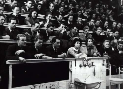 education grayscale photography of people sitting on crowd chair lecture