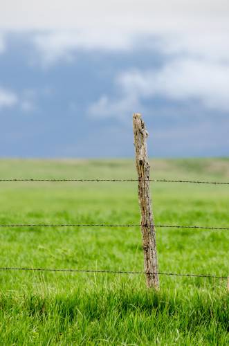   landscape  tree  nature  outdoor  horizon 