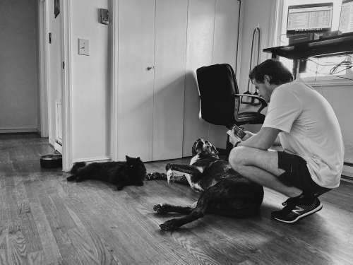  man in white t-shirt sitting beside black short coated dog 