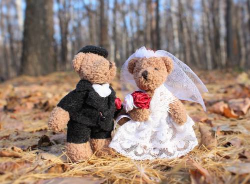  forest  people  cute  love  young  autumn 