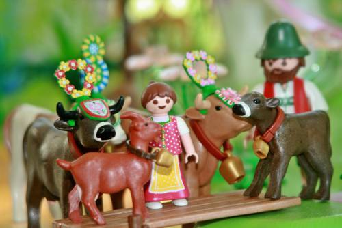   play  cow  child  toy  playmobil  family 