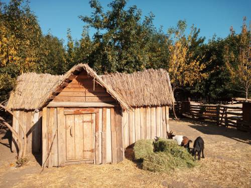   wooden  house  rural engine  barn  village 
