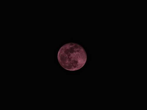 moon moon against black background astronomy