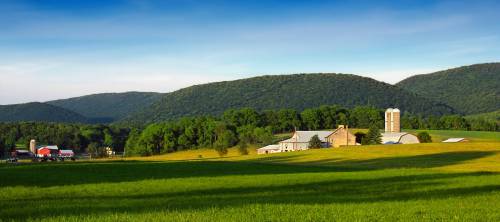   landscape  grass  field  farm  lawn  meadow 