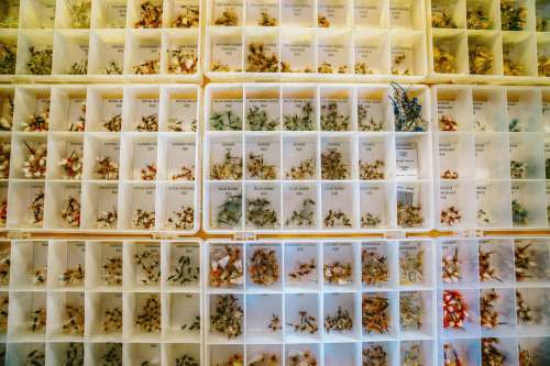 assorted-color collection inside organizers 