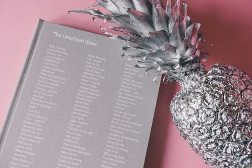  silver pineapple near The Unsplash Book 