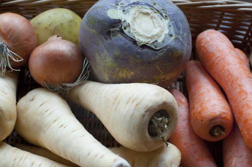 Collection of root vegetables - Free Stock Image