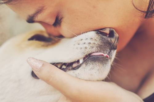 Woman Love Pet Dog
